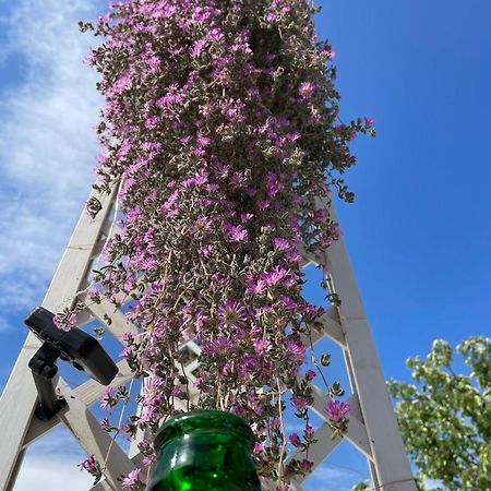 I Trulli Dei Nonni Evelin Villa Martina Franca Exteriör bild