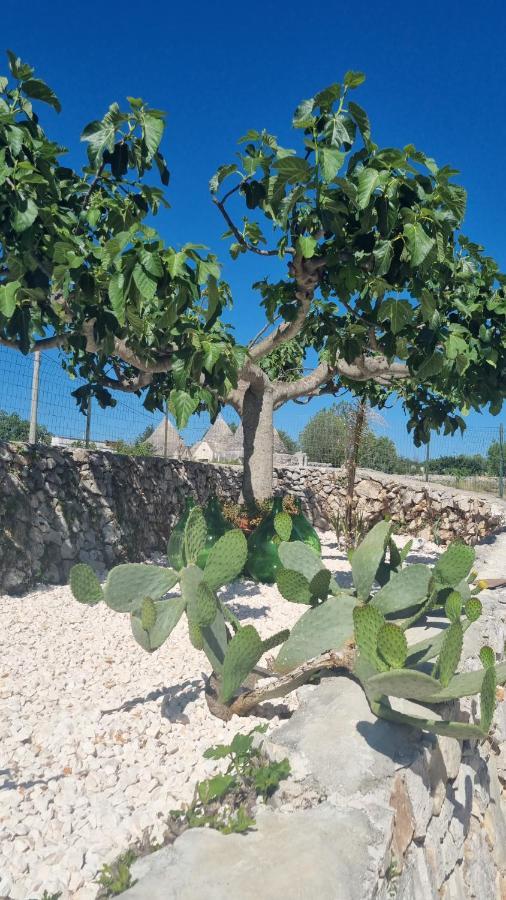 I Trulli Dei Nonni Evelin Villa Martina Franca Exteriör bild